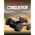 High Configuration Goddess 1/14 Scale High Speed Cross Country RC Car with 2.4Ghz